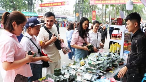 Bắc Ninh đẩy mạnh phong trào nông dân sản xuất giỏi, phát triển kinh tế