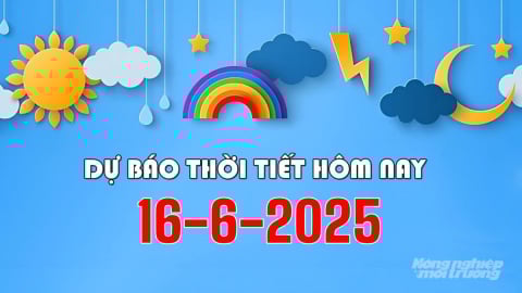 Dự báo thời tiết hôm nay 16/6/2025: Bắc Bộ mưa rào, Trung Bộ vẫn nắng nóng