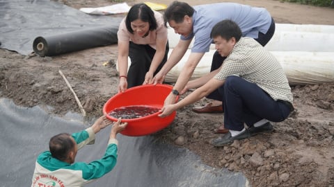 Trung tâm Khuyến nông Quốc gia tặng giống mới cho nông dân Hải Dương