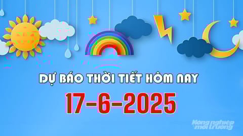 Dự báo thời tiết hôm nay 17/6/2025: Cảnh báo mưa lớn ở Bắc Bộ