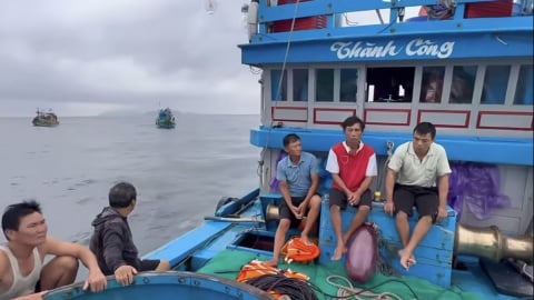 Chìm tàu cá trên vùng biển Lý Sơn