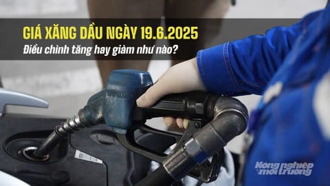 Giá xăng dầu trong nước 19/6/2025 tăng hay giảm sau phiên điều chỉnh?