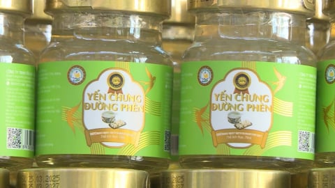 Chuyển hồ sơ để công an điều tra vụ hơn 23.000 hộp yến sào giả