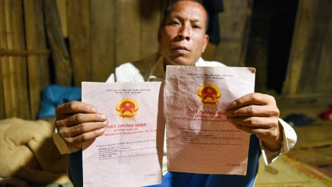 'Đạy dọn' 'Những hạt ngô máu', 'đạy dọn' Báo Nông nghiệp và Môi trường
