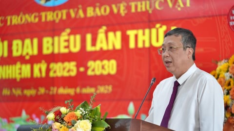 Dẫn dắt trồng trọt xanh hóa, hội nhập từ tổ chức đảng vững mạnh
