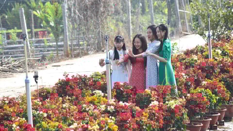Bến Tre: Vững bước trên hành trình xây dựng nông thôn mới