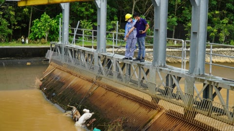 Kênh thủy lợi bị 'bức tử': Nhà máy thủy điện thành 'nghĩa địa động vật'