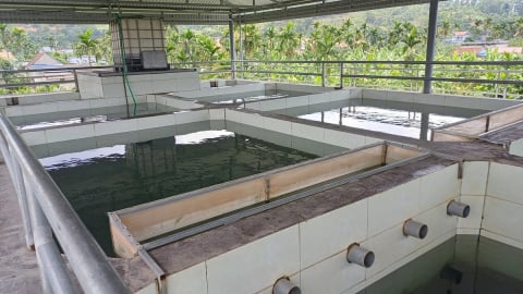 Hải Phòng: Mục tiêu toàn bộ người dân nông thôn dùng nước sạch đạt chuẩn
