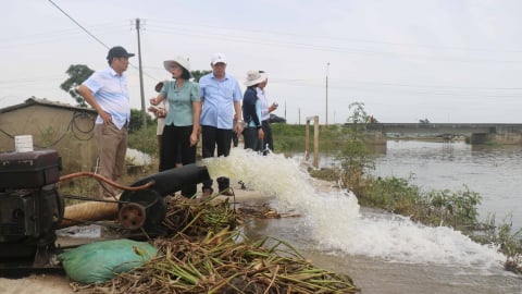 TP Huế được hỗ trợ 160 tấn lúa giống khắc phục mưa lũ trái mùa