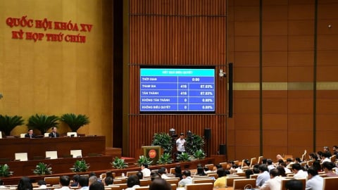 Nới điều kiện nhập quốc tịch Việt Nam thu hút người tài, người có công