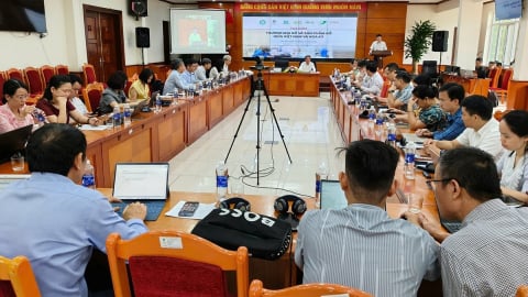 Doanh nghiệp gỗ có thể chịu thuế kép từ Hoa Kỳ cuối 2025
