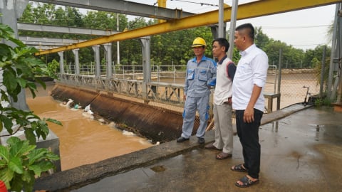 Kênh thủy lợi bị 'bức tử': Cách nào ngăn chặn xác động vật?