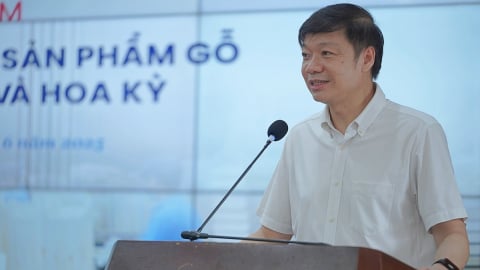 Ngành gỗ cần minh bạch thông tin để tránh rủi ro và mở rộng thị trường