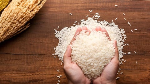 Giá lúa gạo hôm nay 25/6/2025: Gạo xuất khẩu giảm
