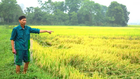 Công ty Thủy lợi Nghệ An ‘dài cổ’ chờ kinh phí