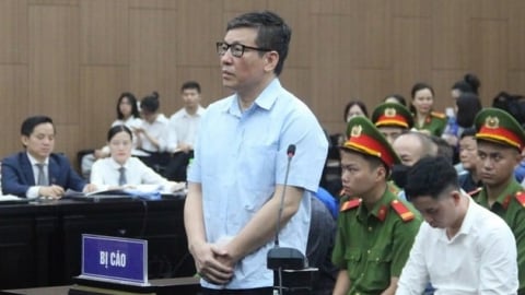 Cựu lãnh đạo nhận tội, doanh nghiệp xin bán đất khắc phục