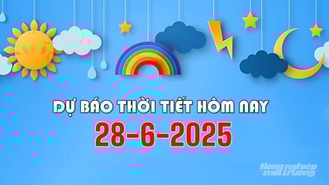 Dự báo thời tiết hôm nay 28/6/2025: Bắc Bộ có mưa rào và dông