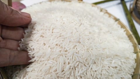 Giá lúa gạo hôm nay 28/6/2025: Đồng loạt đứng yên