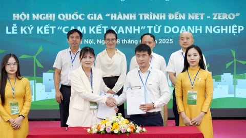 Cú hích mở đường cho doanh nghiệp gia nhập cuộc chơi Net Zero quốc tế