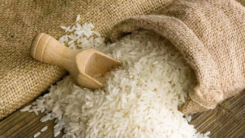 Giá lúa gạo hôm nay 29/6/2025: Thị trường vẫn không đổi
