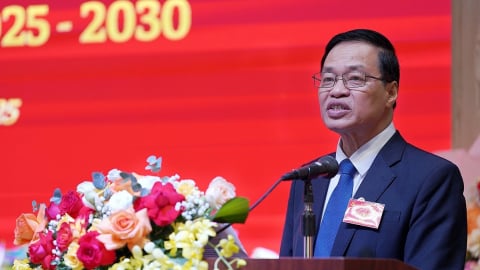 'Chảy máu chất xám': Thách thức lớn với tổ chức Đảng ngành lâm nghiệp