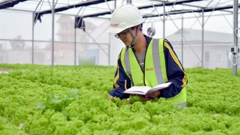 Doanh nghiệp nông nghiệp chỉ bị kiểm tra định kỳ không quá 1 lần mỗi năm