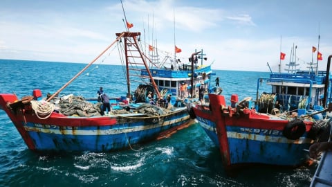 Phát hiện 2 tàu cá công suất lớn vi phạm 'kép' trên vịnh Bắc Bộ