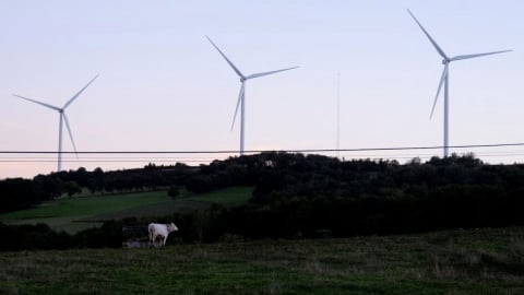 EU dự kiến đưa tín chỉ carbon vào mục tiêu khí hậu đến năm 2040