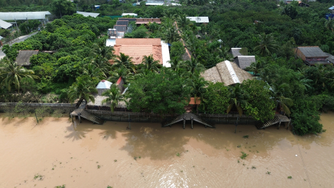 The unique three-compartment house built from 1.700 old coconut trees