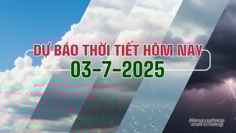 Dự báo thời tiết hôm nay 3/7/2025 mới nhất