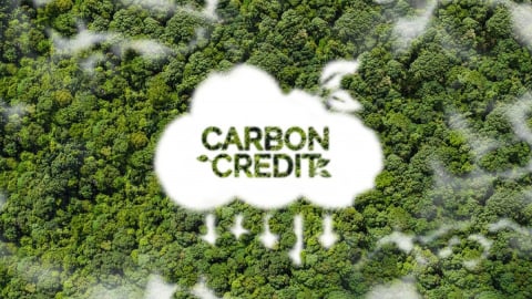 EU bất đồng về mục tiêu sử dụng tín chỉ carbon