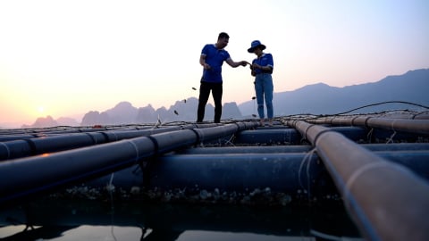Gỡ 4 rào cản giúp kinh tế tư nhân phát huy nuôi biển công nghệ cao