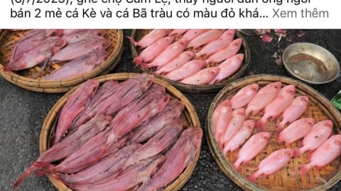 Người dân lo ngại cá bị nhuộm phẩm, tiểu thương khẳng định rửa bằng nước ngọt