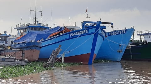 Đồng Tháp: 100% tàu cá hoạt động được giám sát hành trình