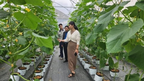 [Bài 4]: Gỡ điểm nghẽn thể chế, tiếp sức cho doanh nghiệp