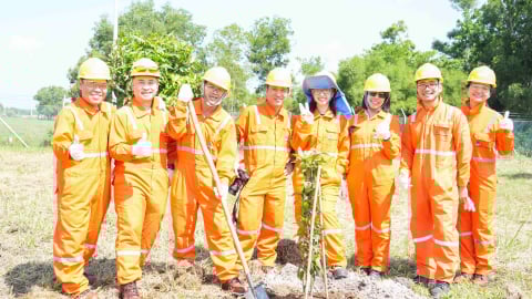 NCSP và PV GAS D chung tay phủ xanh không gian sống