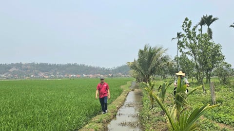 Hiện đại hóa hệ thống thủy lợi ở Hải Phòng: [Bài 2] Những tuyến mương kêu cứu
