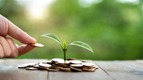 EU xây dựng lộ trình tín chỉ thiên nhiên