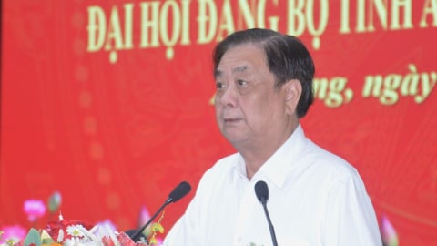 Cần thêm một dự án mềm mang tên ‘Ấn tượng nông nghiệp An Giang’