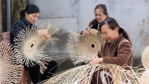 Mây tre đan Đức Phong chinh phục thế giới