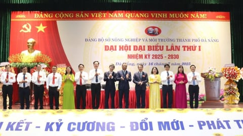Sở NN-MT Đà Nẵng huy động nguồn lực đưa thành phố phát triển nhanh, bền vững