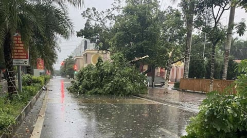 Bắc Ninh chủ động ứng phó với bão