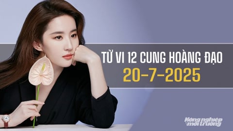 Tử vi 12 cung hoàng đạo ngày 20/7/2025: Cự Giải có một ngày không dễ dàng