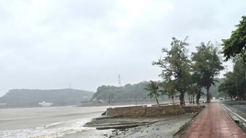 Bão WIPHA giật cấp 14, chỉ cách bờ biển Hải Phòng - Quảng Ninh 705 km