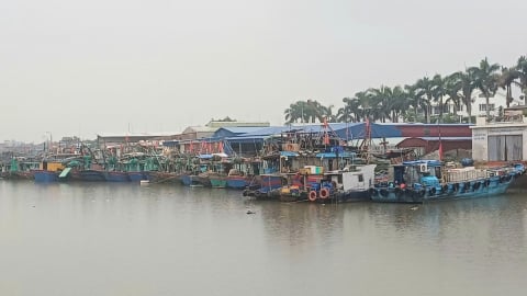 Hải Phòng cấm biển để phòng chống bão số 3