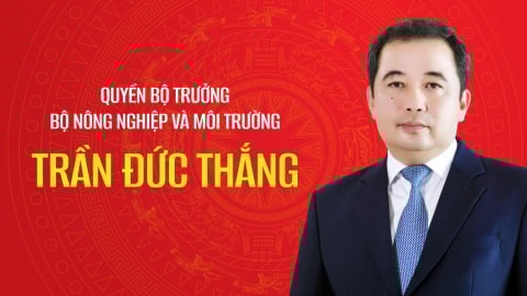 Tiểu sử quyền Bộ trưởng Bộ Nông nghiệp và Môi trường Trần Đức Thắng