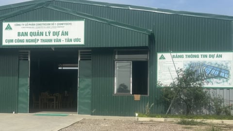 Từ Tân Ước đến Ninh Sở: Một kịch bản, nhiều người sập bẫy