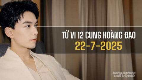 Tử vi 12 cung hoàng đạo ngày 22/7/2025: Bạch Dương đang đi đúng hướng