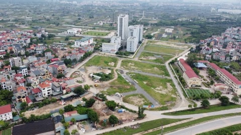 TP.HCM: Đặc khu Côn Đảo được quyền cấp giấy phép xây dựng