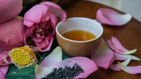 Yêu như sen